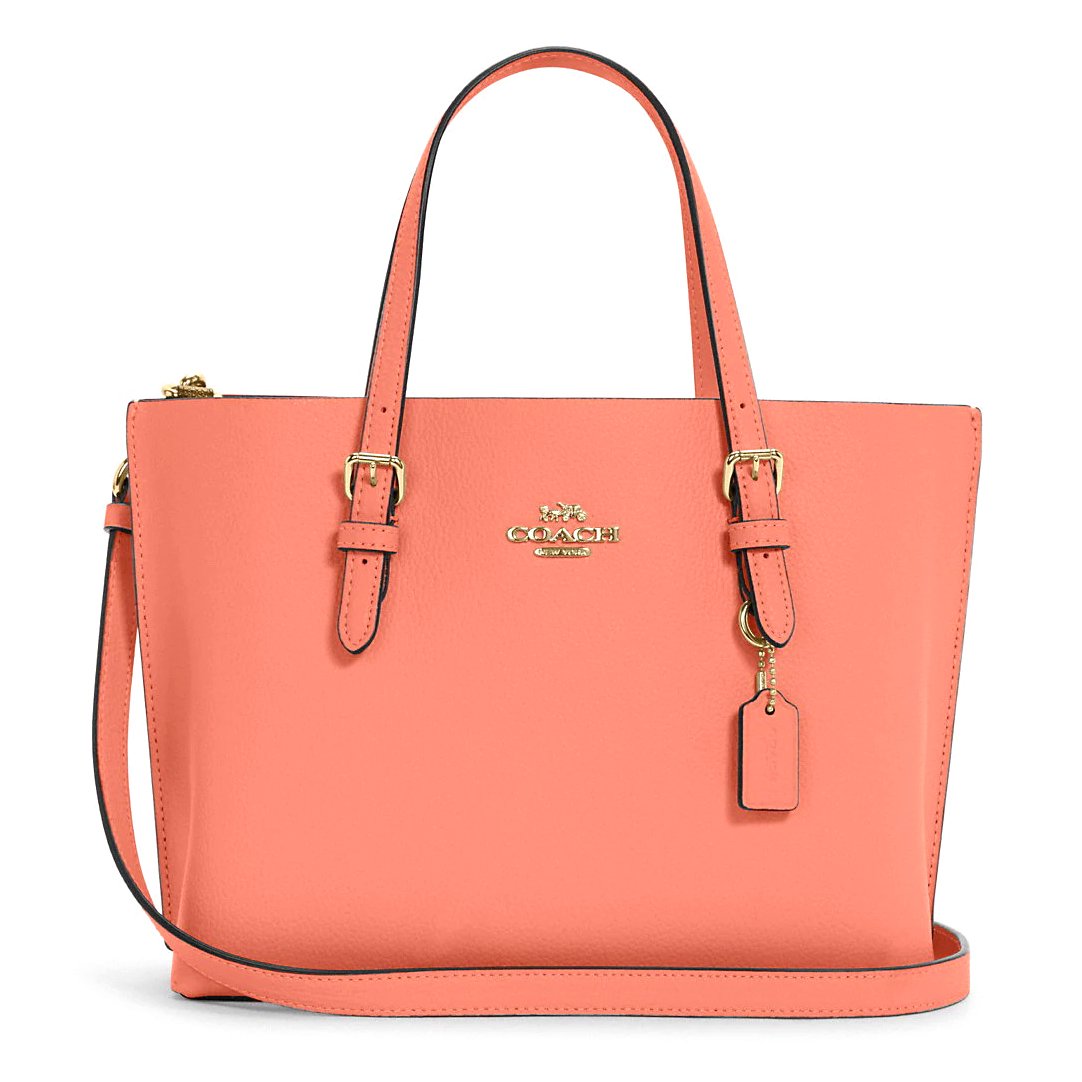COACH Mollie Tote Bag 25